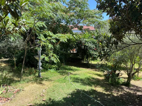 Finca rústica en Avenida de Constitución s/n - Foto 14