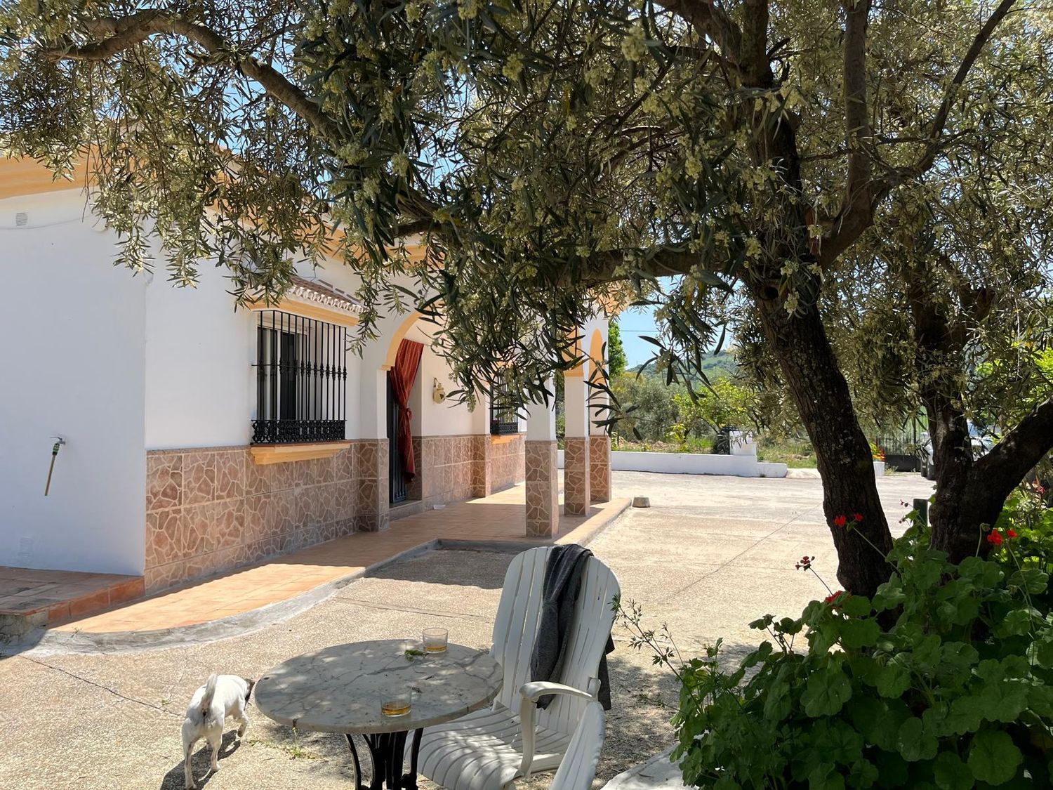 Finca rústica en Via Diseminado El Lentiscar s/n - Foto 7