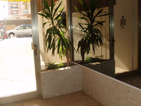 Piso en Calle de Josep Vicenç Foix, 13, Platja Calafell, Platja Calafell - Foto 3