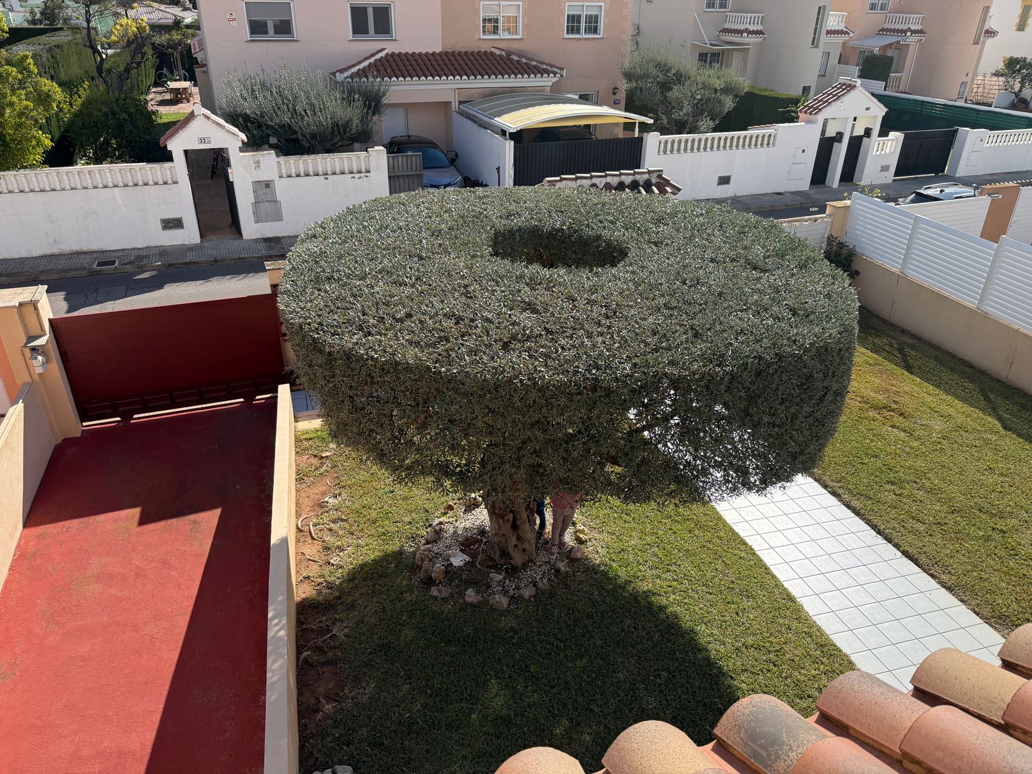 Chalet pareado en Calle Vicent Fuentes, 28, Heliópolis - Eurosol, Heliópolis - Eurosol - Foto 5