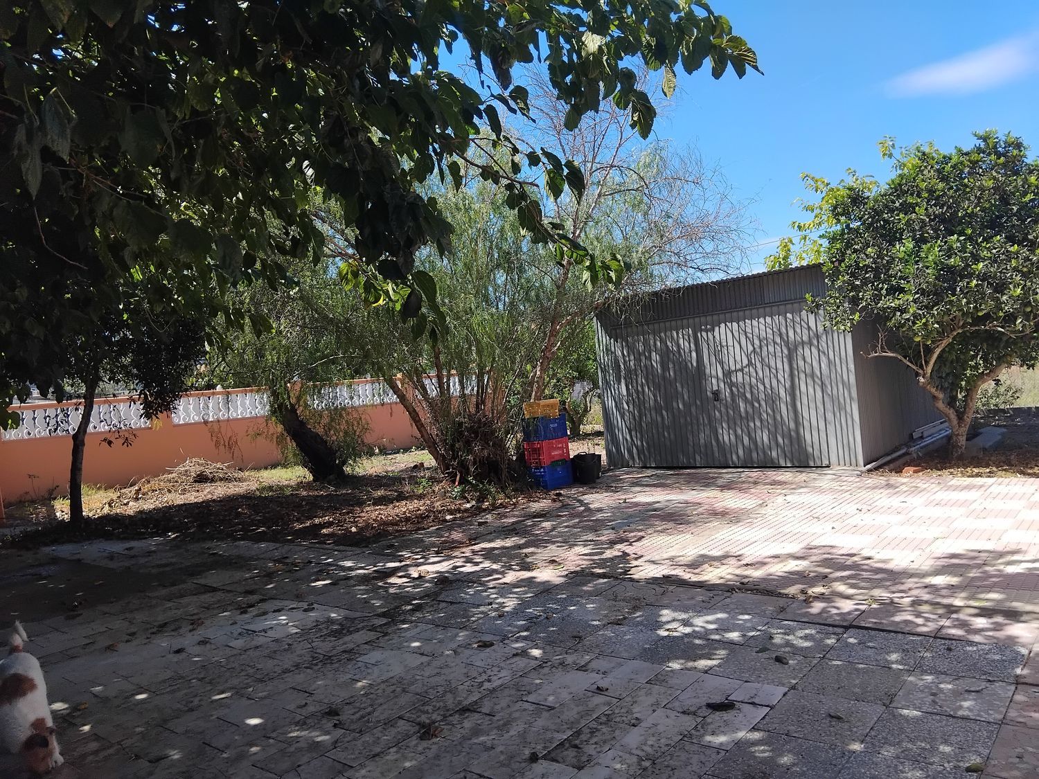 Casa o chalet independiente en La Vega - Marenyet - Foto 8