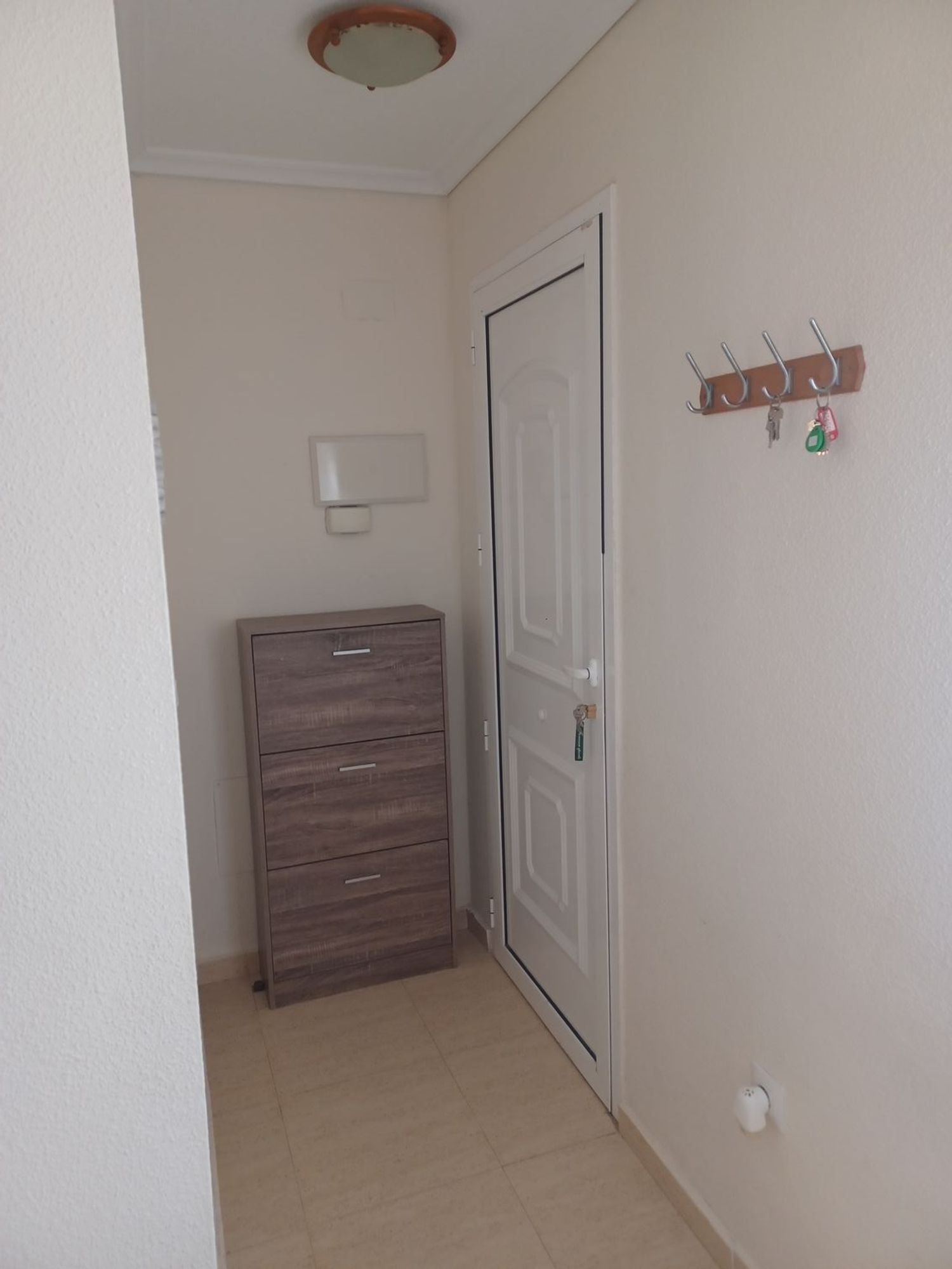 Casa o chalet independiente en Calle Canarias, 364 - Foto 6