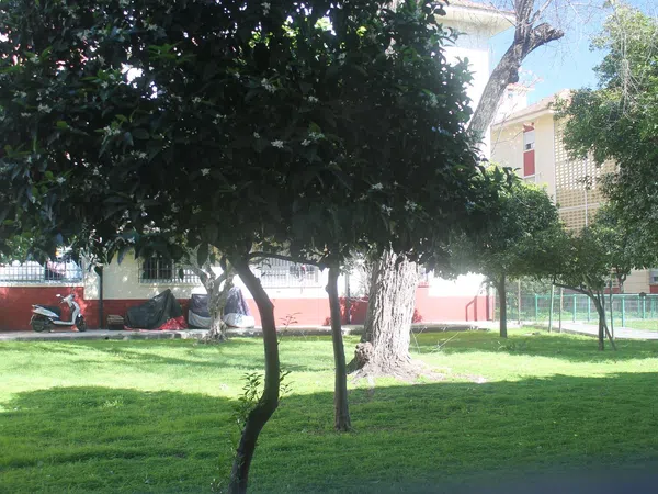 Piso en Parque Alcosa s/n ParqueAlcosa - Foto 10