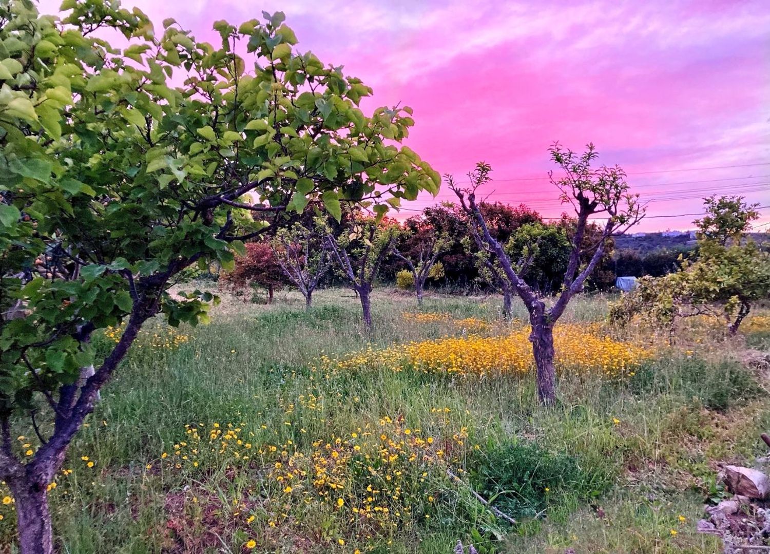Casa rural en Lugar Pinar de Ojeda, 22 - Foto 7