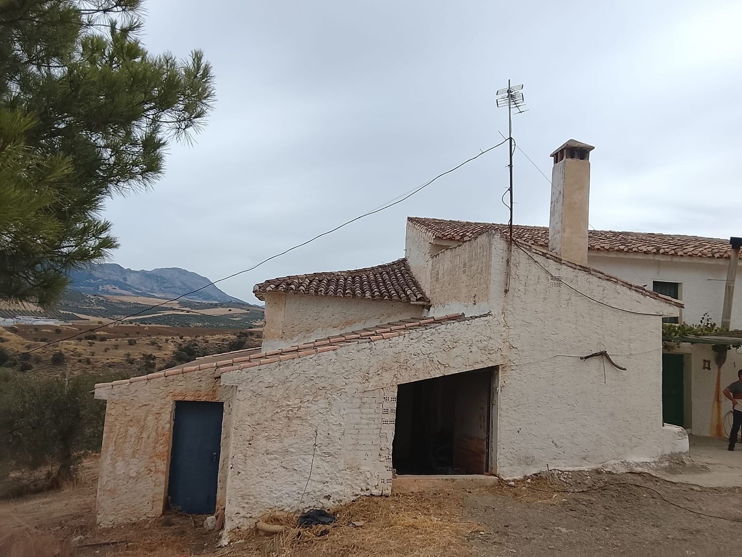 Finca rústica en Calle Emilio Prados, 2 - Foto 4