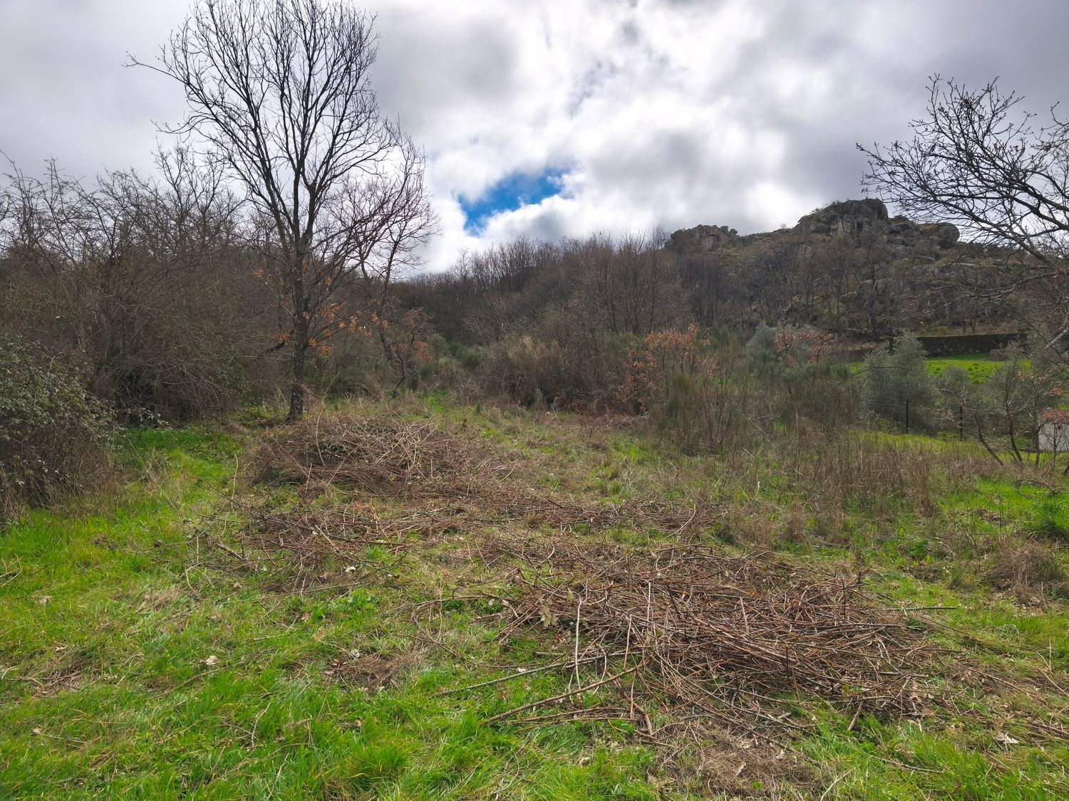Finca rústica en Poblado los Arroyos de Abajo, 39 poligonoparcela - Foto 22