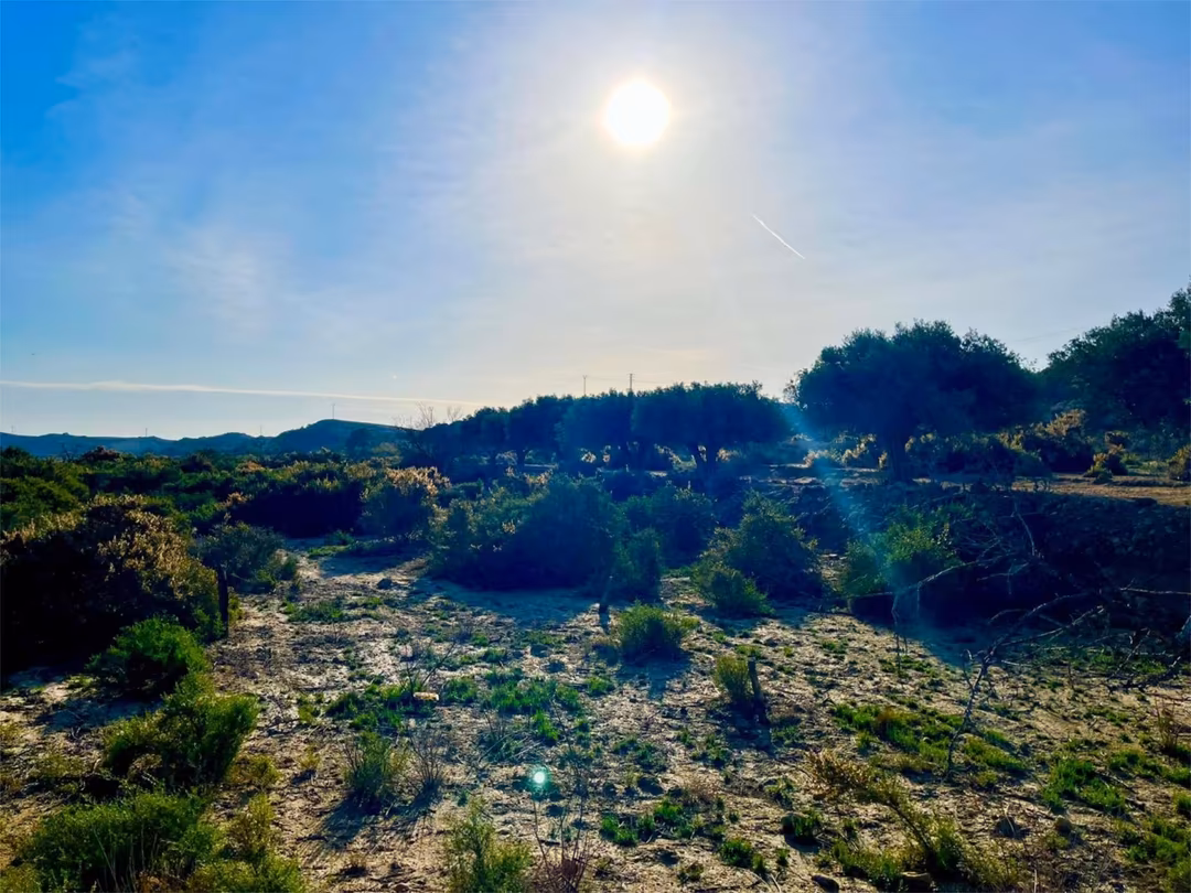 Finca rústica en  Camino Viejo de Saladas 10 - Foto 19