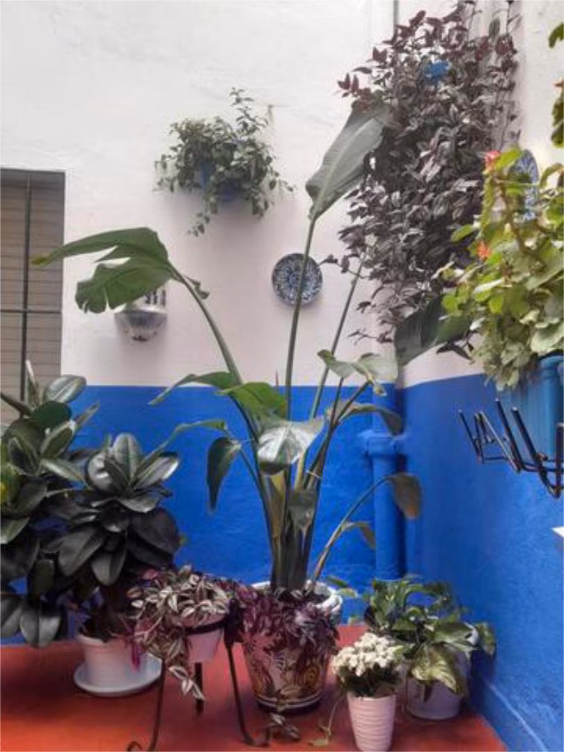 Apartamento en San Basilio - Foto 7
