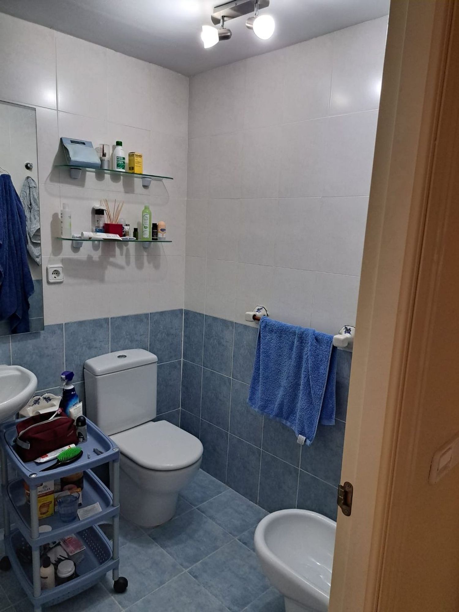 Piso en Paraiso de la Bahia, 14 j - Foto 10