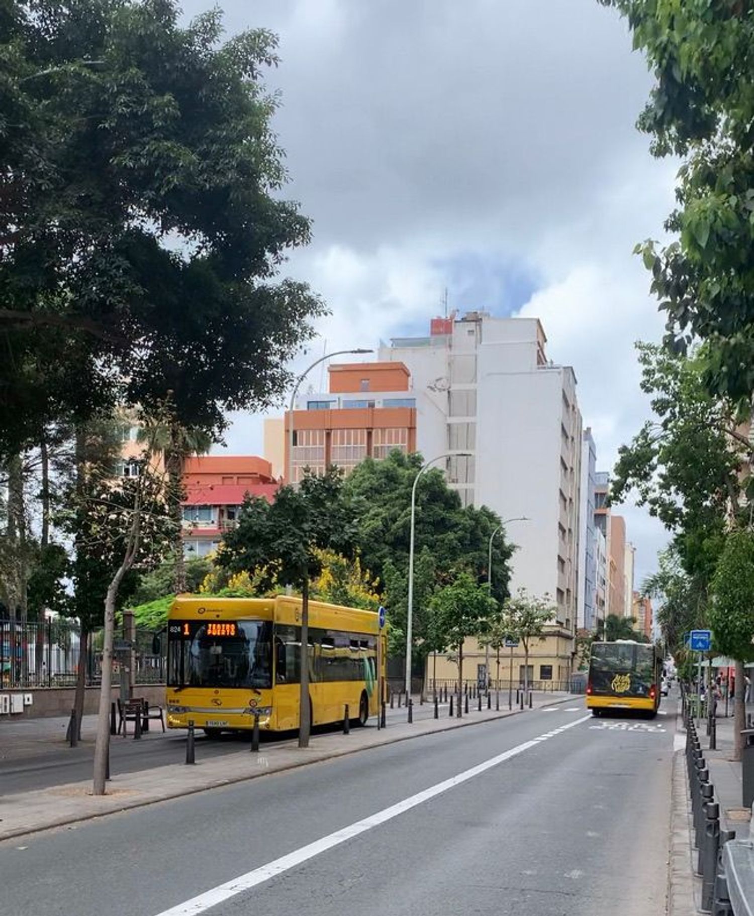 Estudio en calle Artemi Semidan, 51 - Foto 25