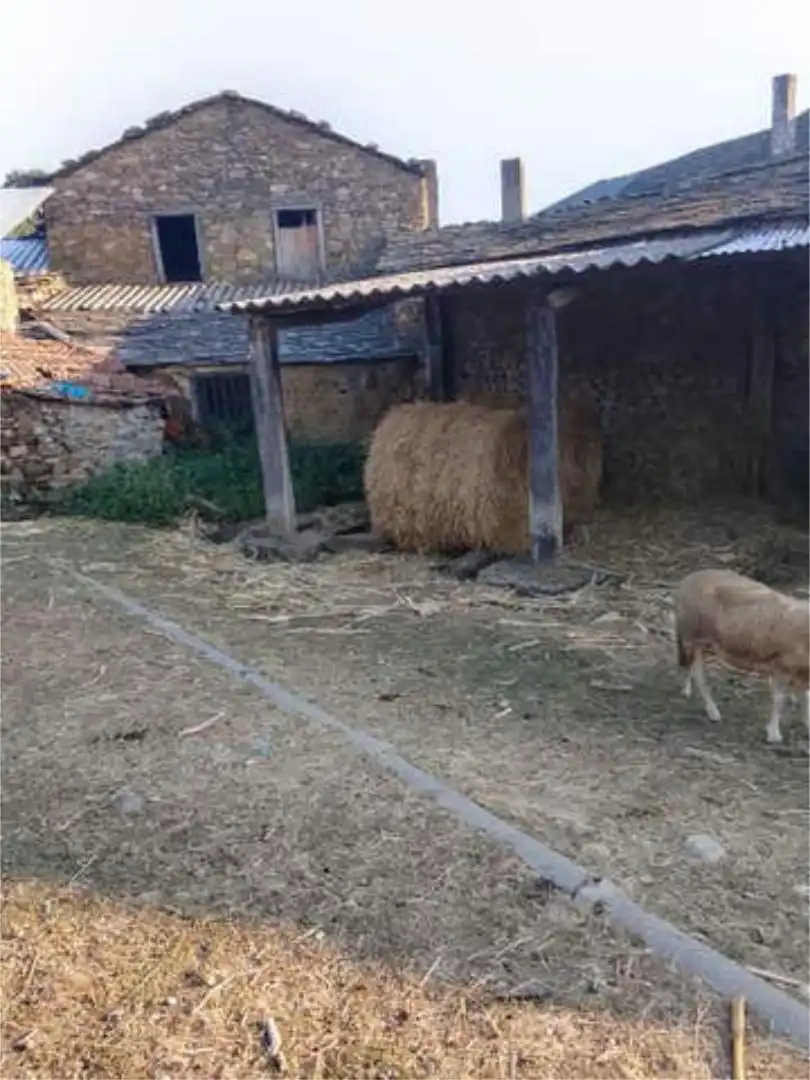Chalet en Sindran Monforte de Lemos - Foto 4