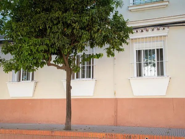 Piso en Avenida Federico Mayo, 14, Las Torres - Guadalupe, Las Torres - Guadalupe - Foto 4