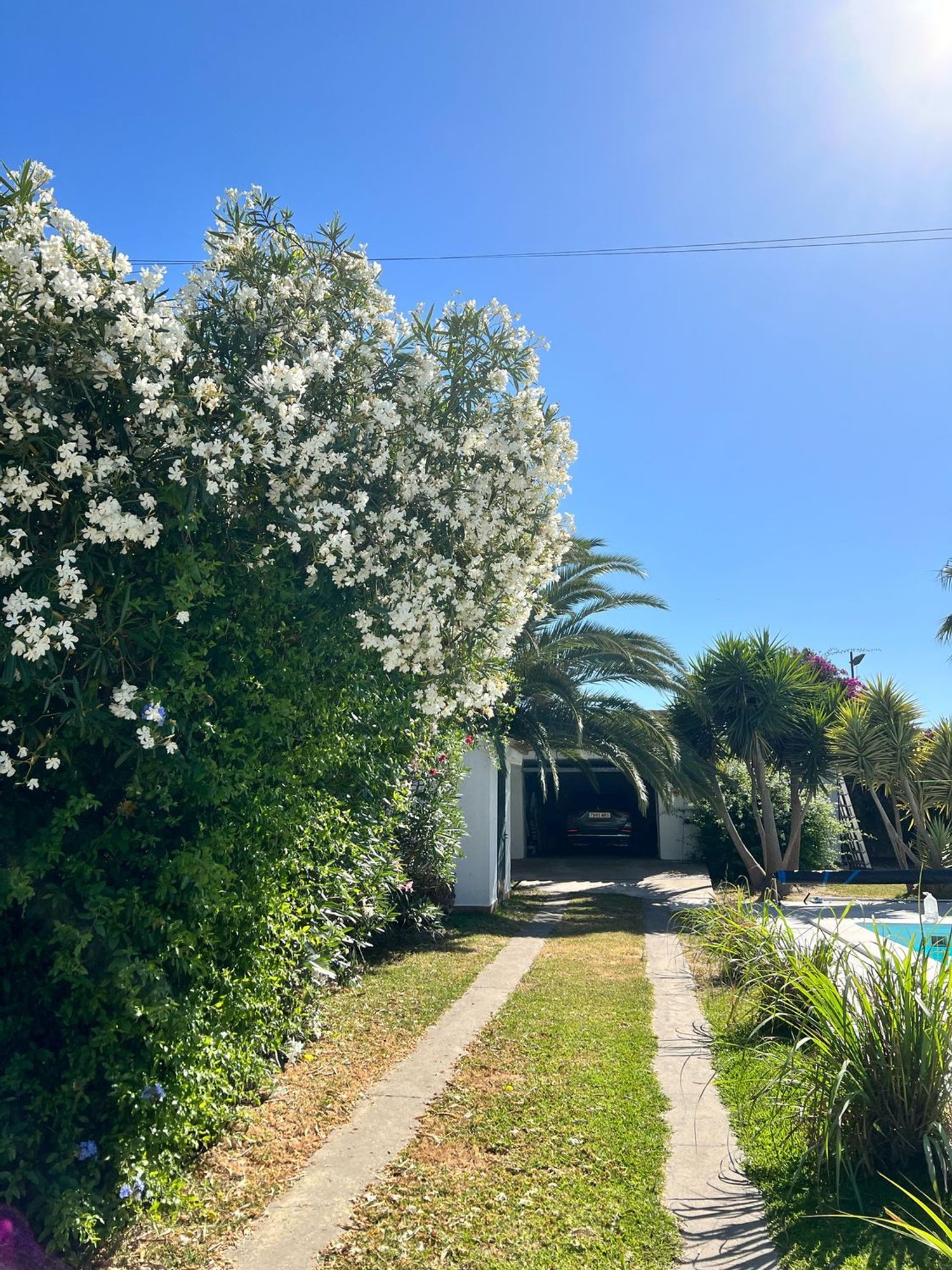 Casa o chalet independiente en Camino de la Macrocarpa, 23 - Foto 16