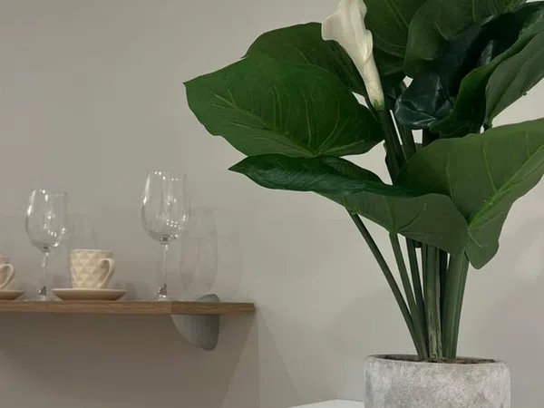 Estudio en calle Alfalfa, 7 - Foto 8