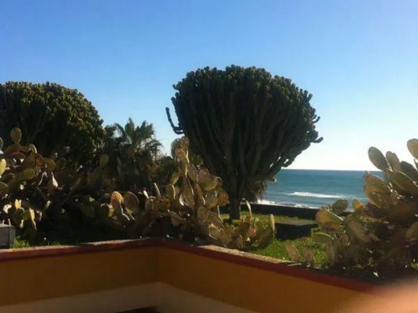 Piso en Avenida Jardines de las Golondrinas s/n, Romana Playa - Foto 9