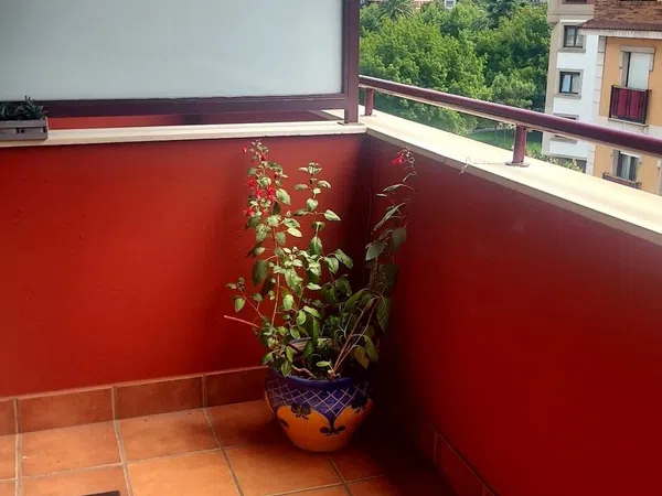 Piso en Calle Cápitán Mendizábál Káleá, 4, Capitán Mendizabal - La Sardinera, Capitán Mendizabal - La Sardinera - Foto 15