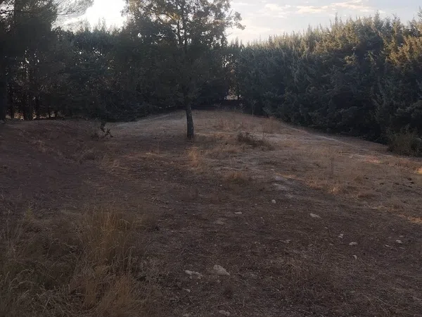 Finca rústica en Calle la Fuente, 2 - Foto 11