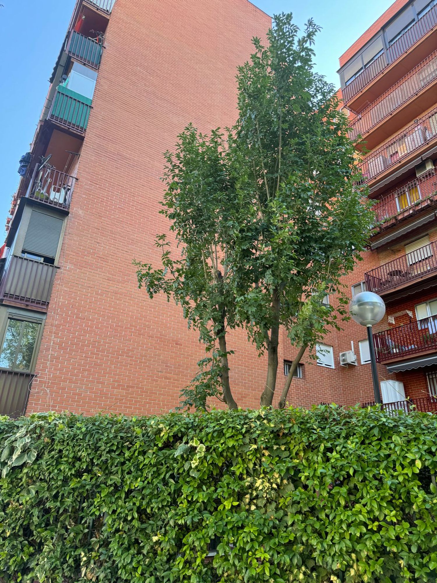 Piso en avenida de Pablo Neruda, 10 - Foto 2