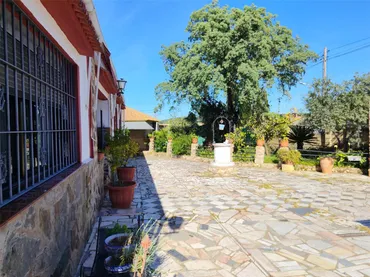 Finca rústica en  Calle del Acebuchal 74 - Foto 8