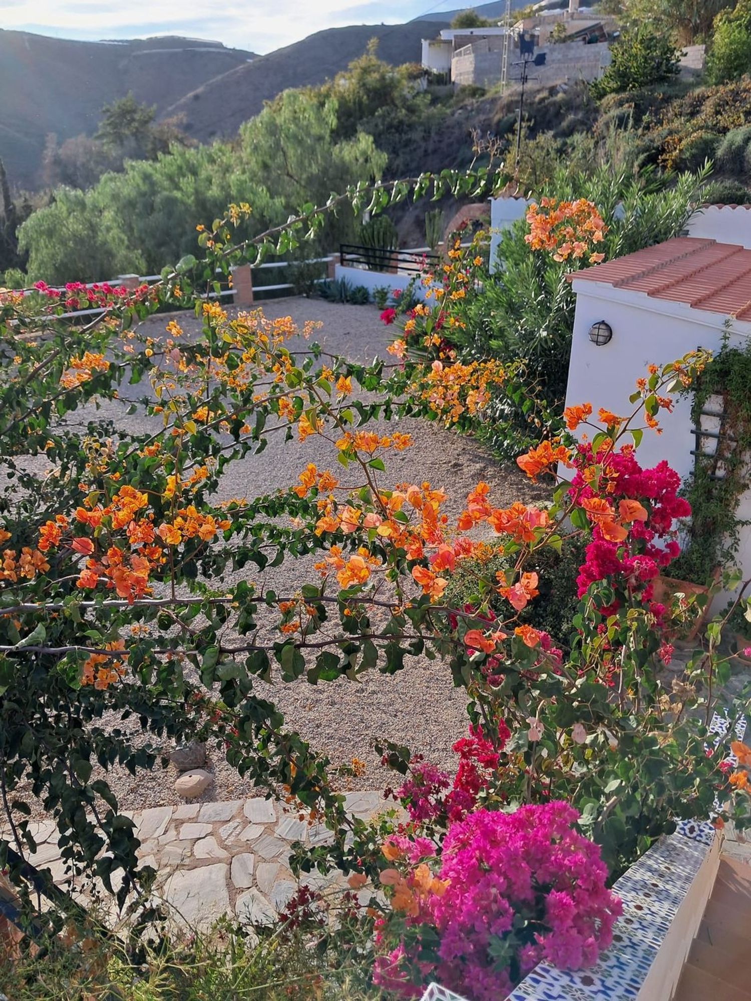 Cortijo en Cortijo en Haza Mora s/n - Foto 17