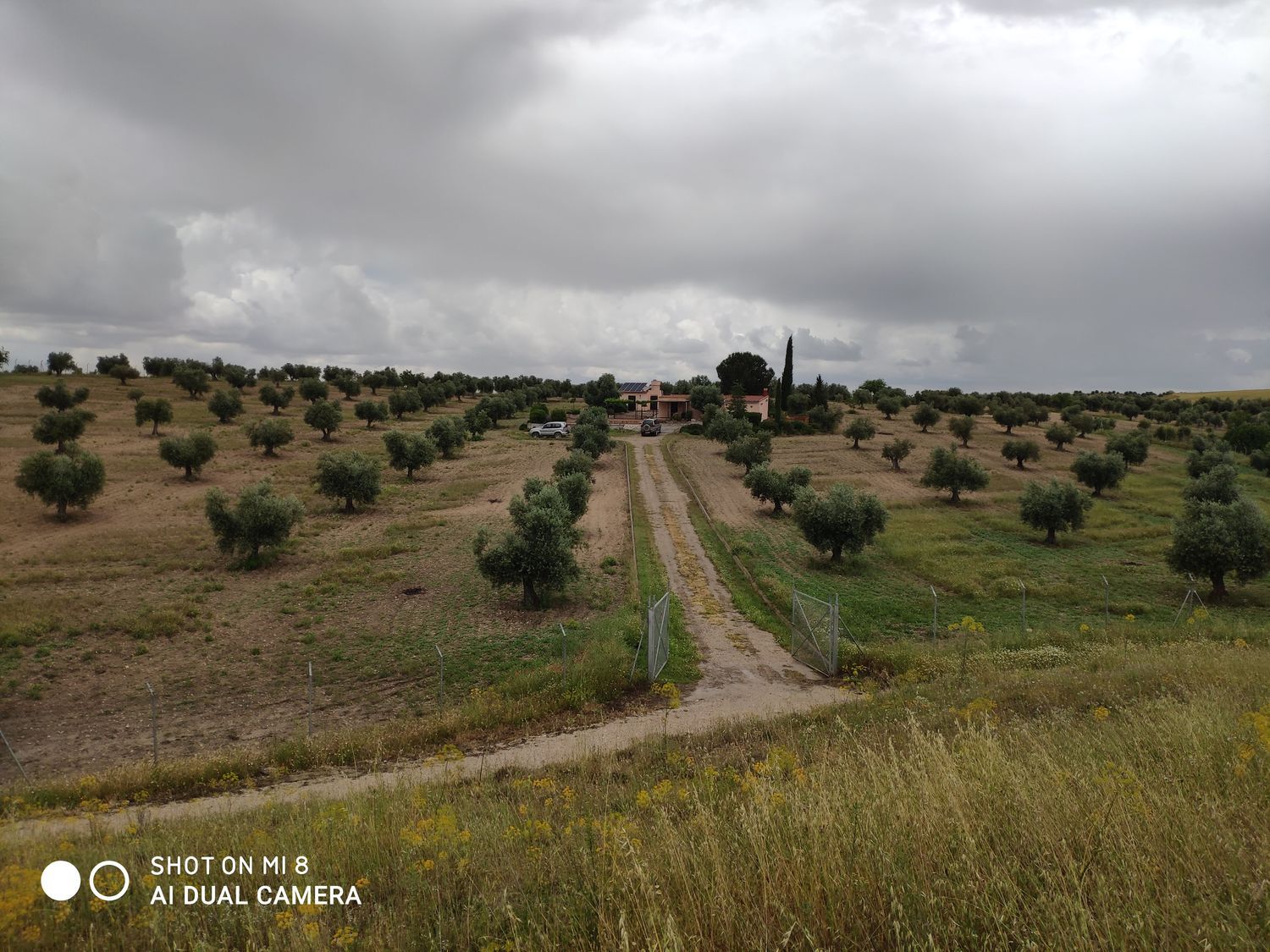 Finca rústica en camino de los Coches s/n - Foto 10