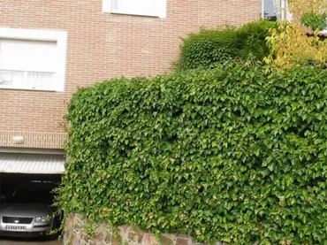 Piso en  Urbanización San Pedro de Alcántara 46 - Foto 35
