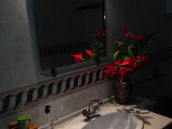 Casa independiente en camino Finca Salas, 13 - Foto 16