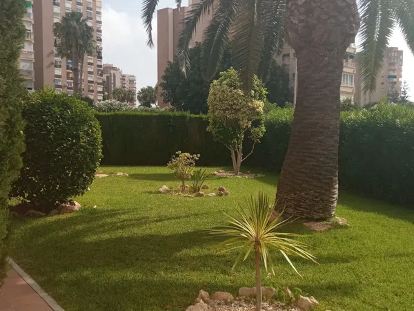 Piso en Calle Teodoro Llorente, 16, Campoamor - Foto 31