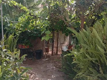 Planta baja en  Calle Galdames 83 - Foto 27