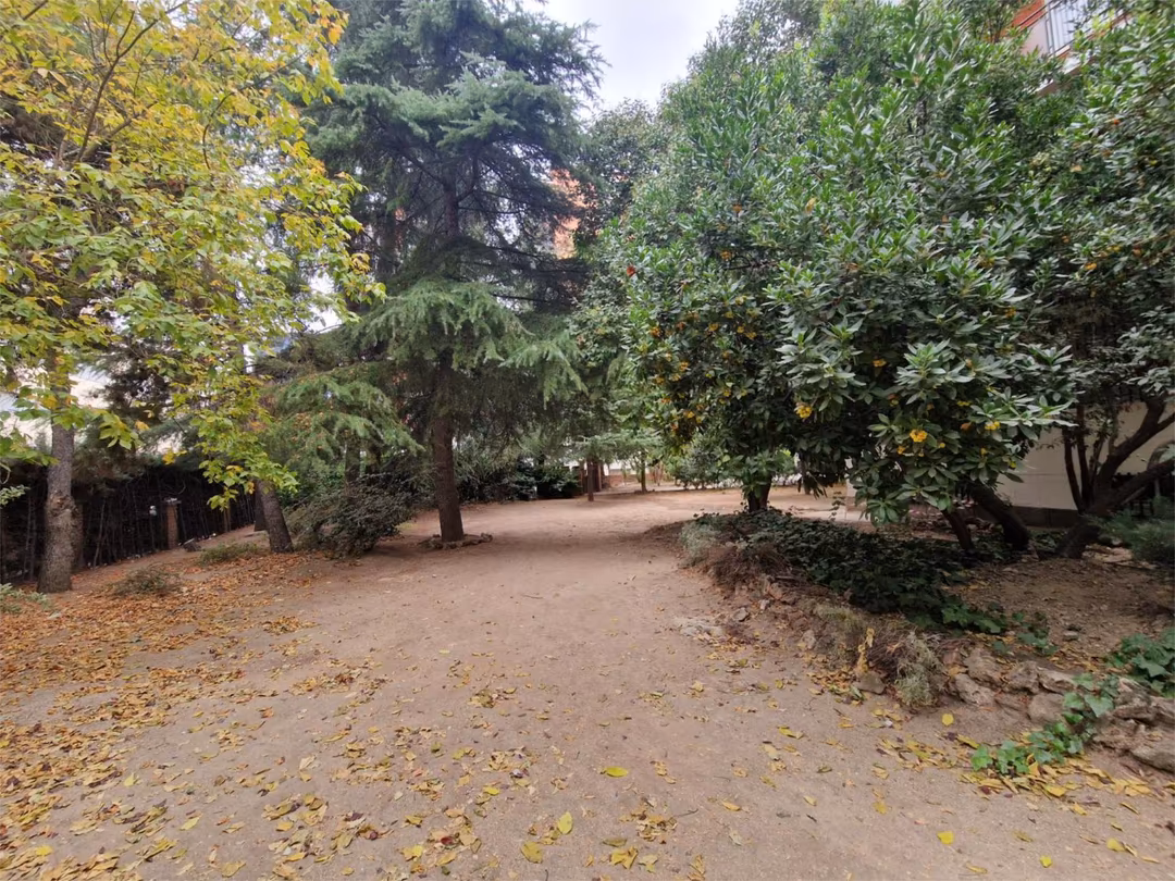 Piso en  Paseo de la Castellana 223 - Foto 20