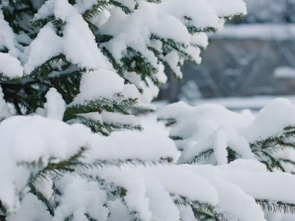 Dúplex en calle de la Tejera, 4 - Foto 7