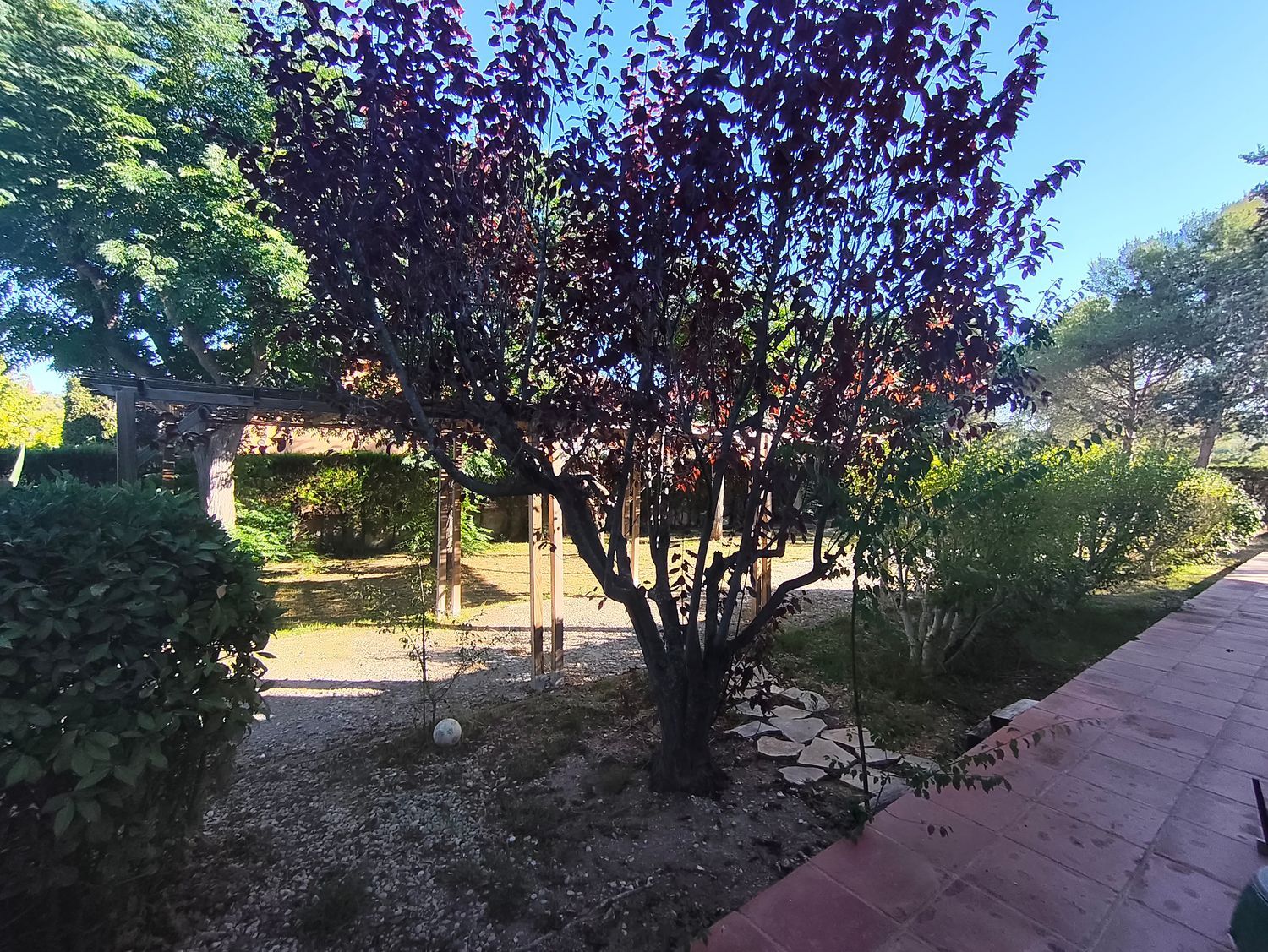 Casa o chalet independiente en Olèrdola - Foto 8