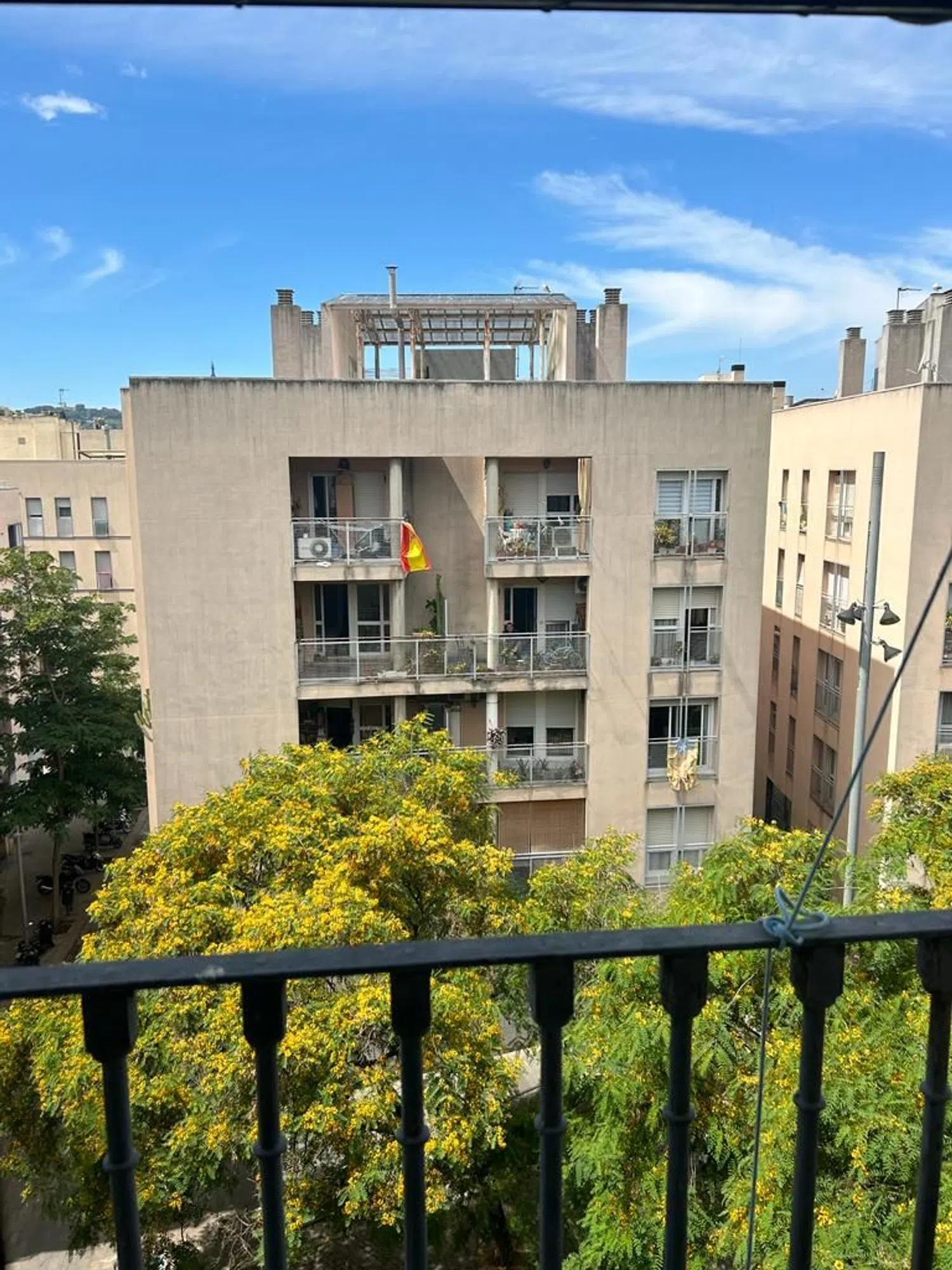 Estudio en calle de les Basses de Sant Pere, 6 - Foto 6