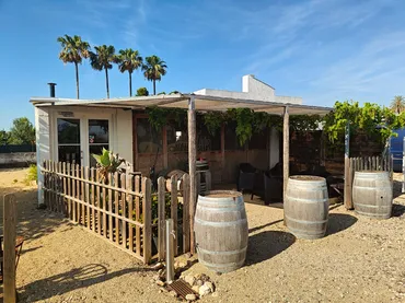 Finca rústica en Algemesí - Foto 18