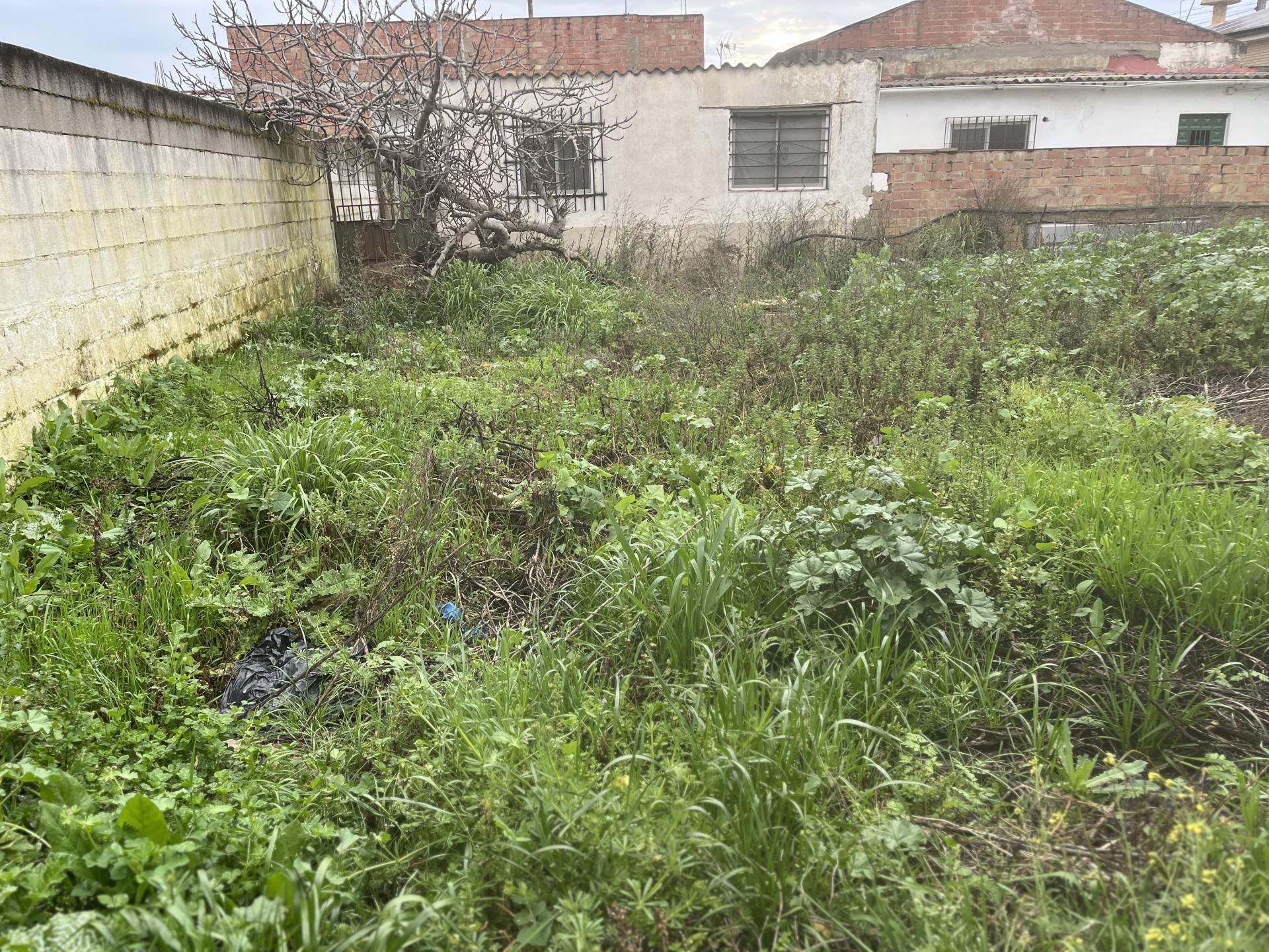 Finca rústica en  Urbanizacion Campiñuela Baja 6 - Foto 18