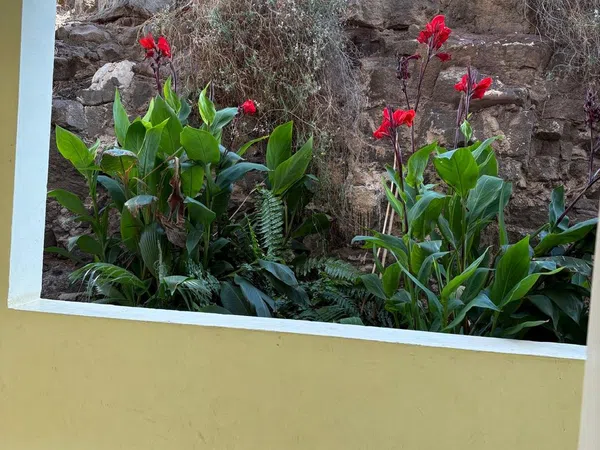 Estudio en Avenida el saladar, 6 casaatlanticabloque - Foto 4