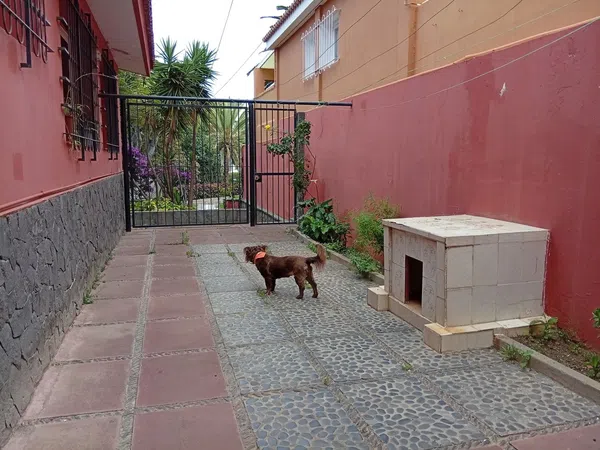 Casa o chalet independiente en Avenida de Benito Pérez Armas, 41 - Foto 35