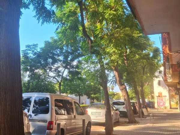 Piso en Calle Rocafort, 14, Barranquet - El Salvador, Barranquet - El Salvador - Foto 33