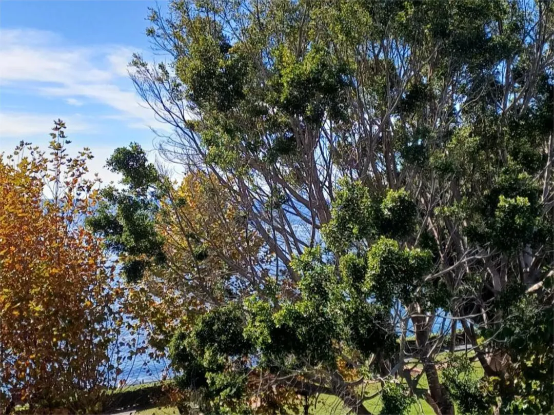 Piso en  Avenida del Pirata 2 - Foto 12