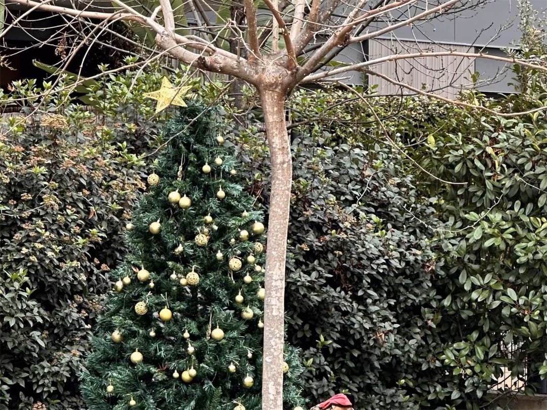 Piso en  Carrer Joan Puig Mestre 8 - Foto 2