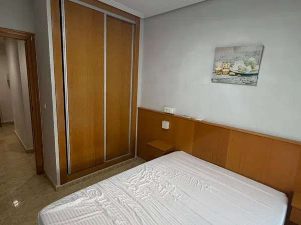 Piso en Calle Doctor Pedro Villamor, 1, Ronda Sur - Foto 9