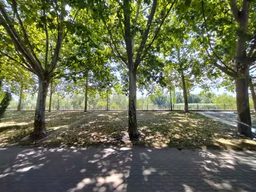Piso en Talavera de la Reina - Foto 20