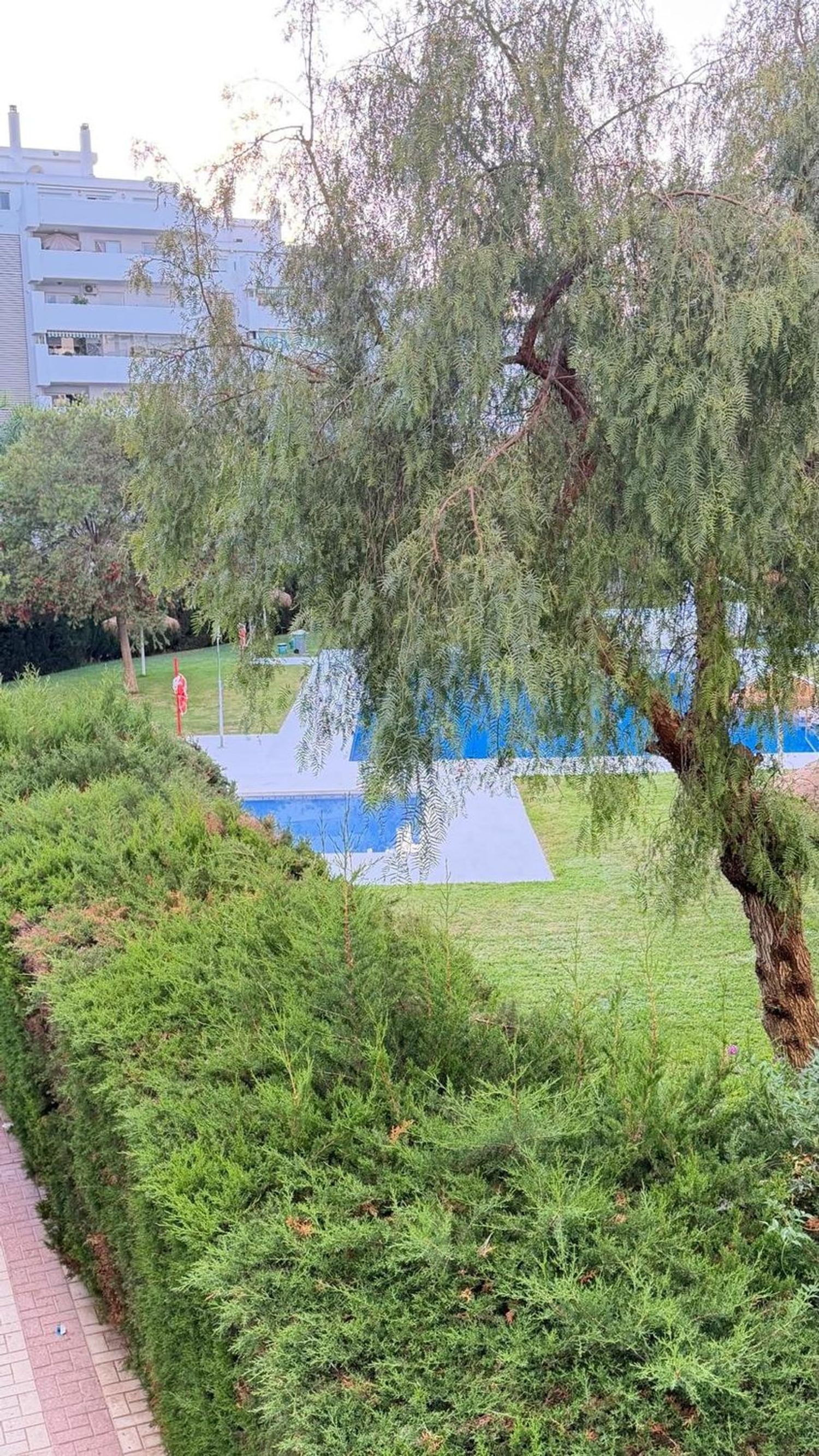Piso en Avenida Santa Amalia, 20, Zona Sohail, Zona Sohail - Foto 6