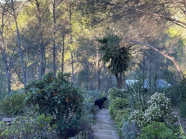 Casa terrera en calle roca s/n Sn - Foto 11