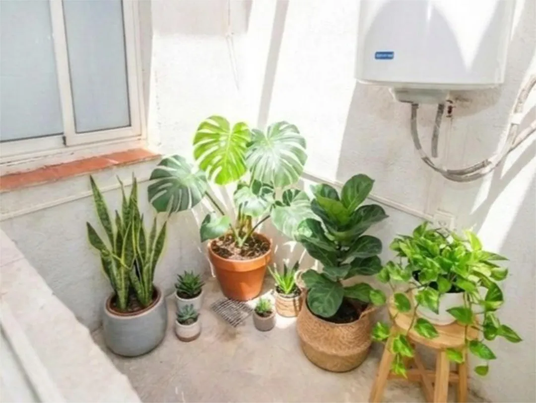 Piso en  Carrer de Rodrigo Caro 40 - Foto 16