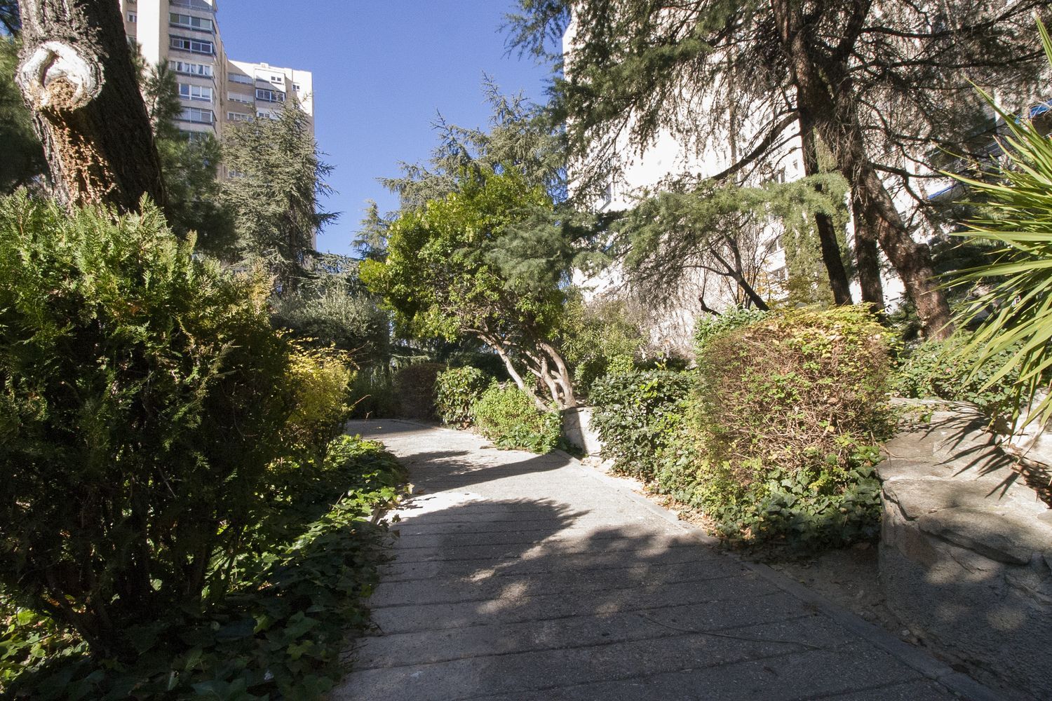 Piso en Calle de Ginzo de Limia, 55, Pilar - Foto 17