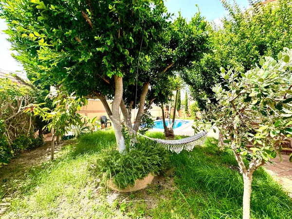 Chalet adosado en Calle Aneto, 69, Los Balcones - Los Altos del Edén - Foto 28