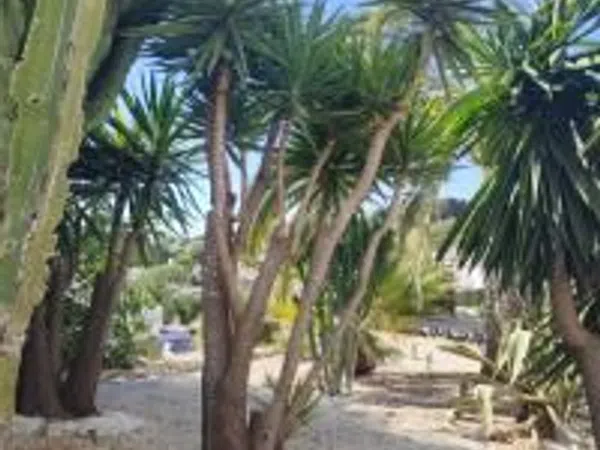 Casa rural en Calle de la Mare-selva, 9, La Fustera, La Fustera - Foto 7