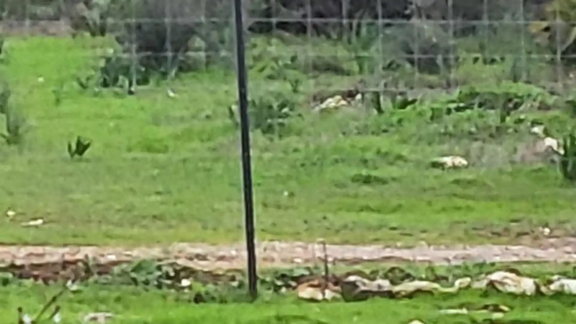 Finca rústica en  Calle Héctor Villa-Lobos 5 - Foto 5