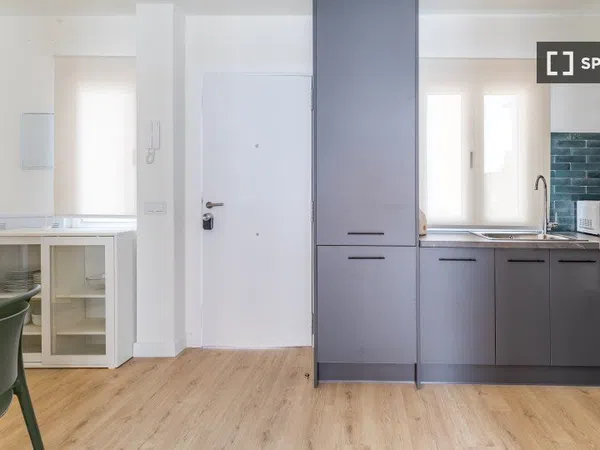 Estudio en Calle Pinos Alta, Ventilla-Almenara - Foto 20
